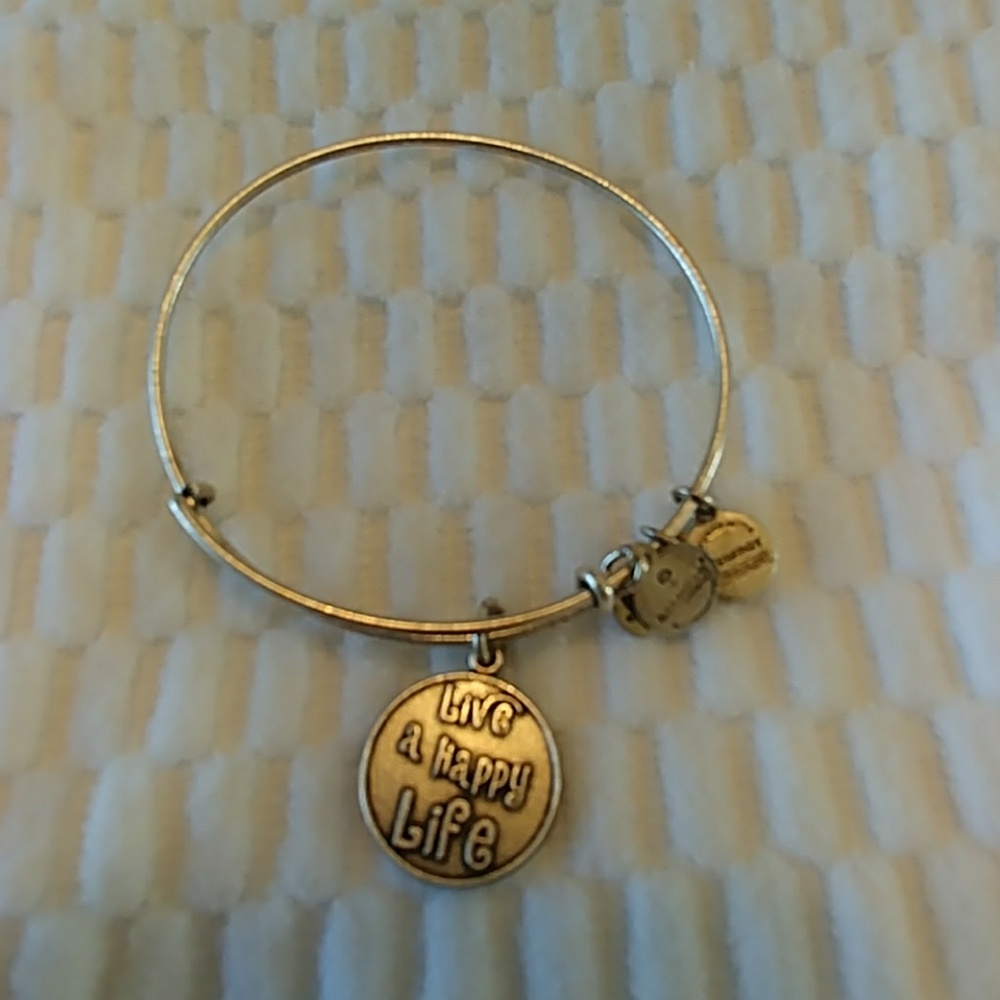 Alex and Ani Charm bracelet